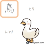 [鳥] Handwritten Kanji for bird and its Readings, Radical and Usage