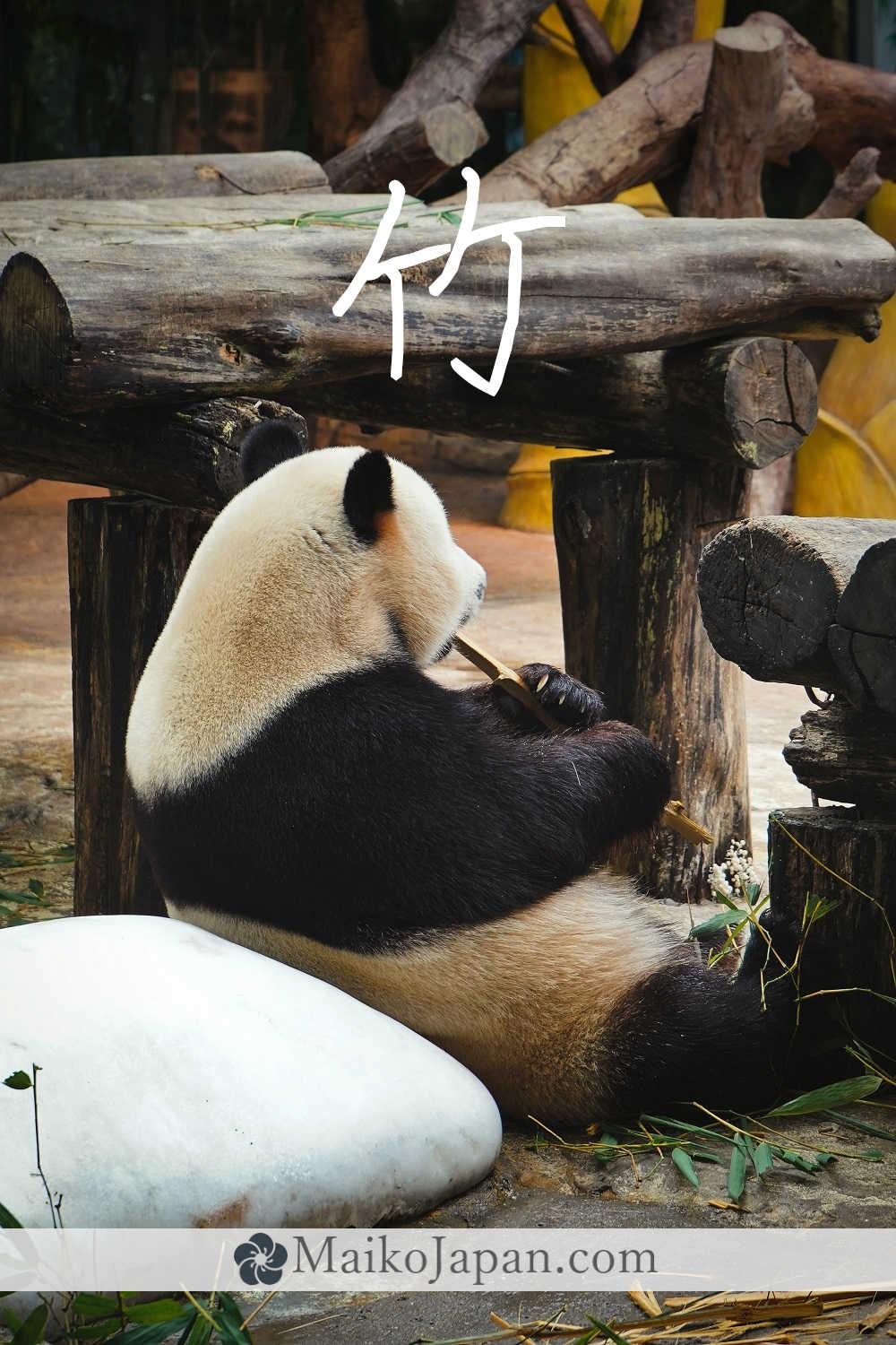 [竹] Handwritten Kanji for bamboo and its Readings, Radical and Usage ...