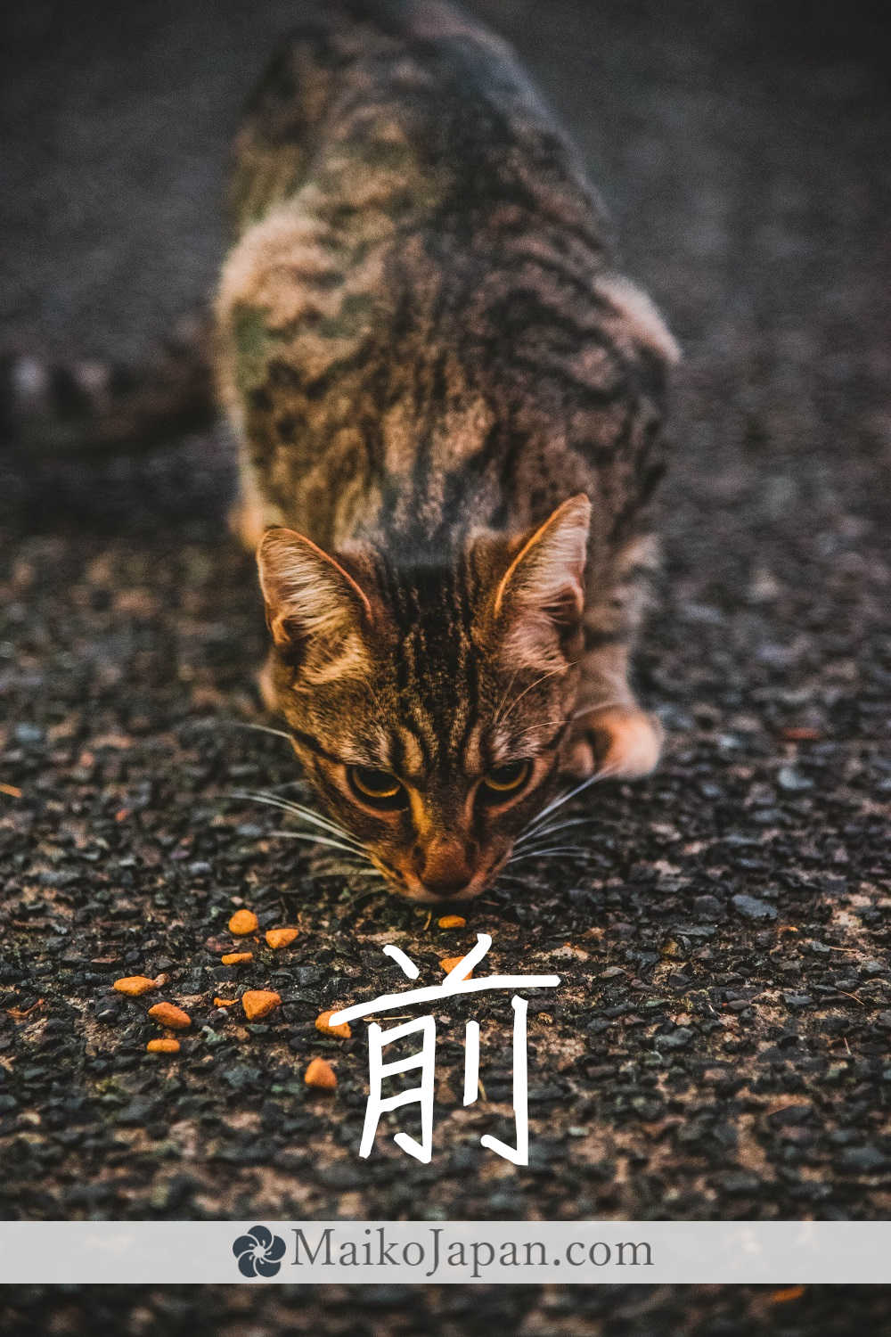[前] Handwritten Kanji for before and its Readings, Radical and Usage ...