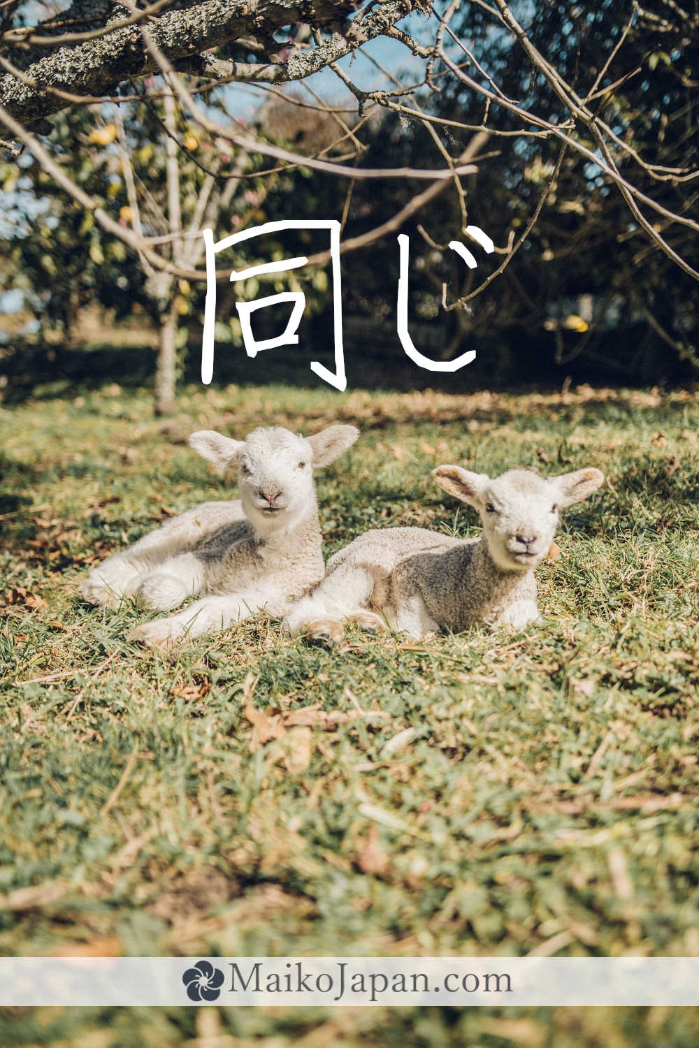 [同] Handwritten Kanji for same and its Readings, Radical and Usage ...