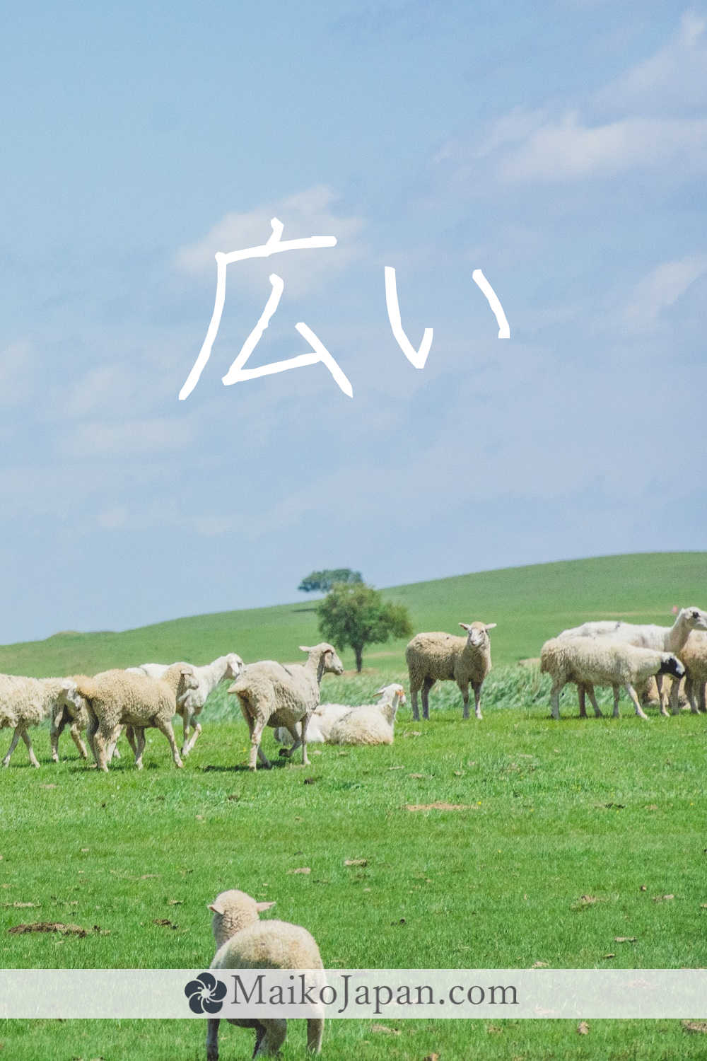[広] Handwritten Kanji for wide and its Readings, Radical and Usage ...