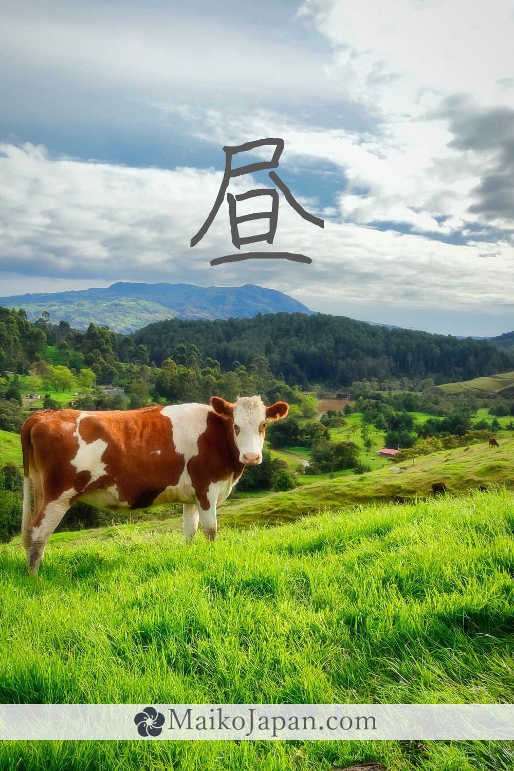 [昼] Handwritten Kanji for daytime and its Readings, Radical and Usage ...