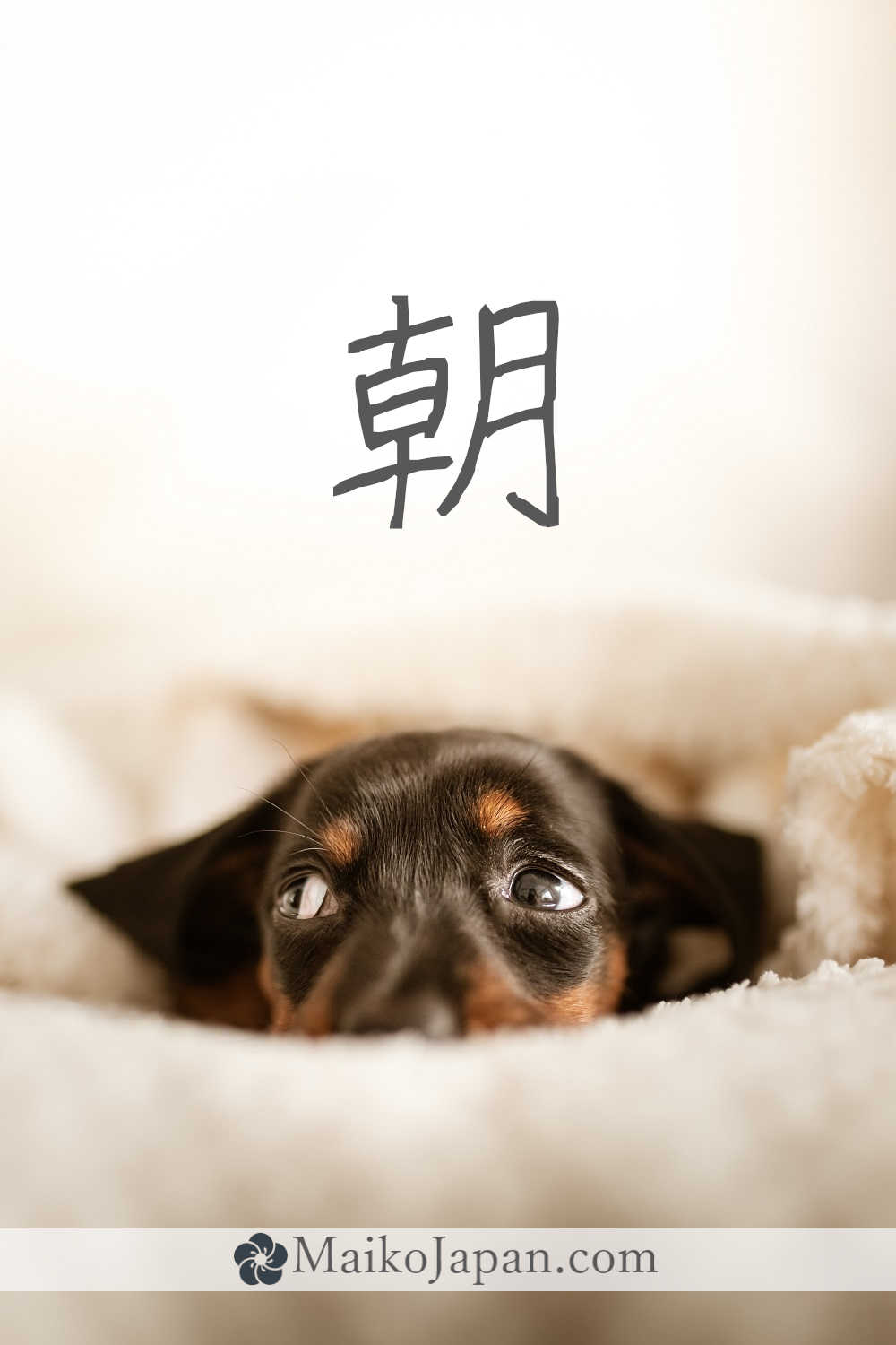 [朝] Handwritten Kanji for morning and its Readings, Radical and Usage ...