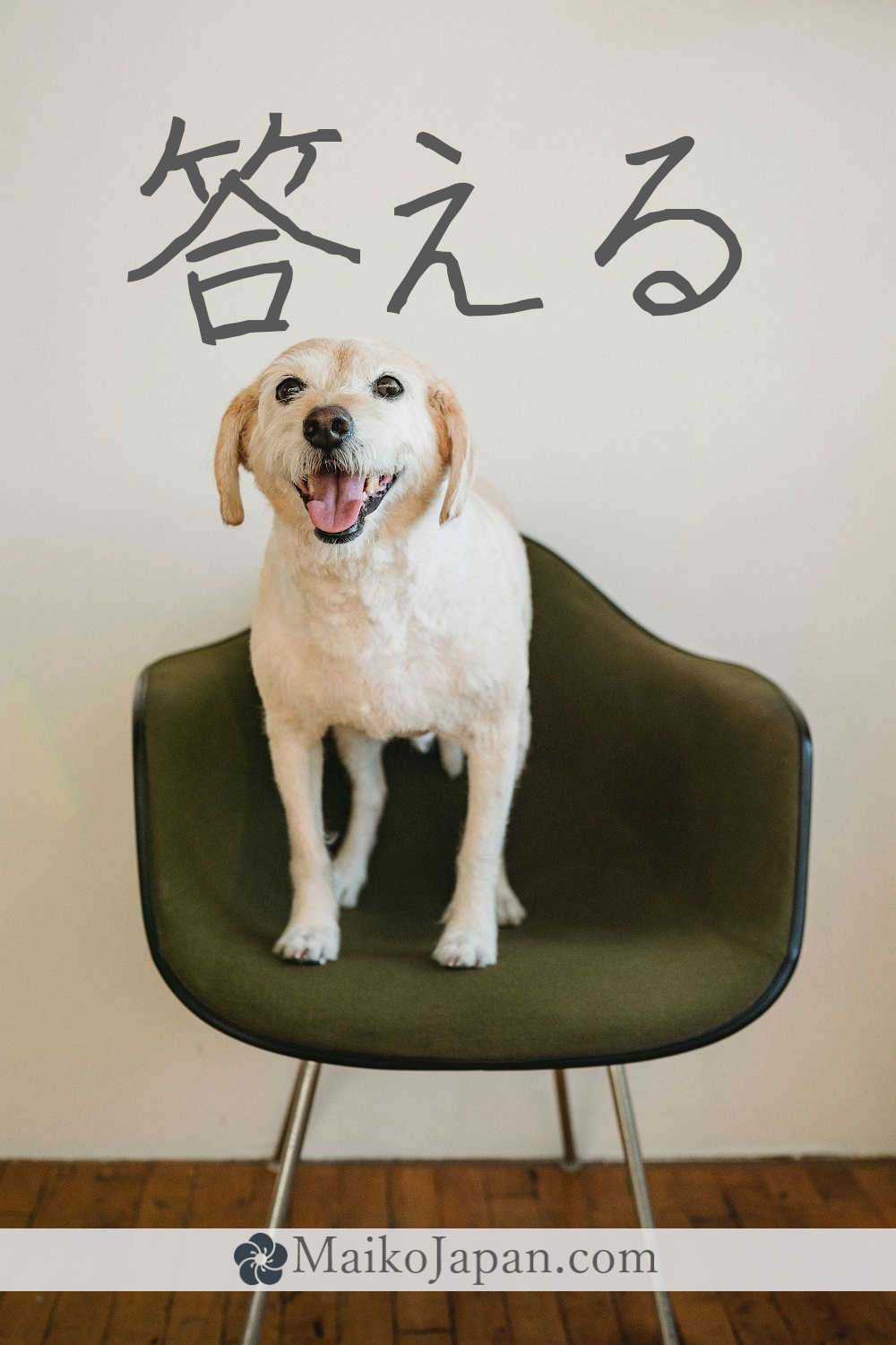 [答] Handwritten Kanji for answer and its Readings, Radical and Usage ...