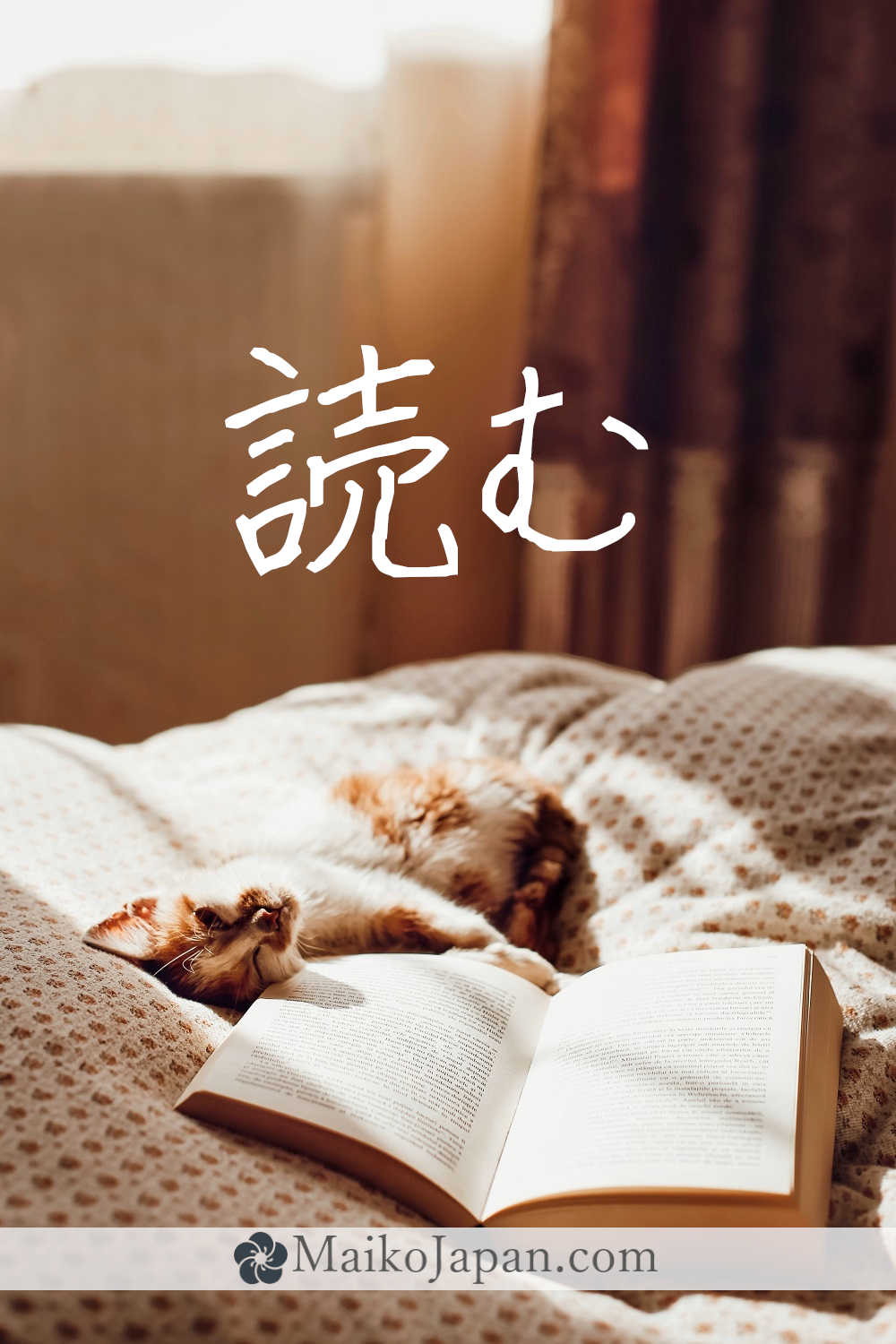 [読] Handwritten Kanji for to read and its Readings, Radical and Usage ...