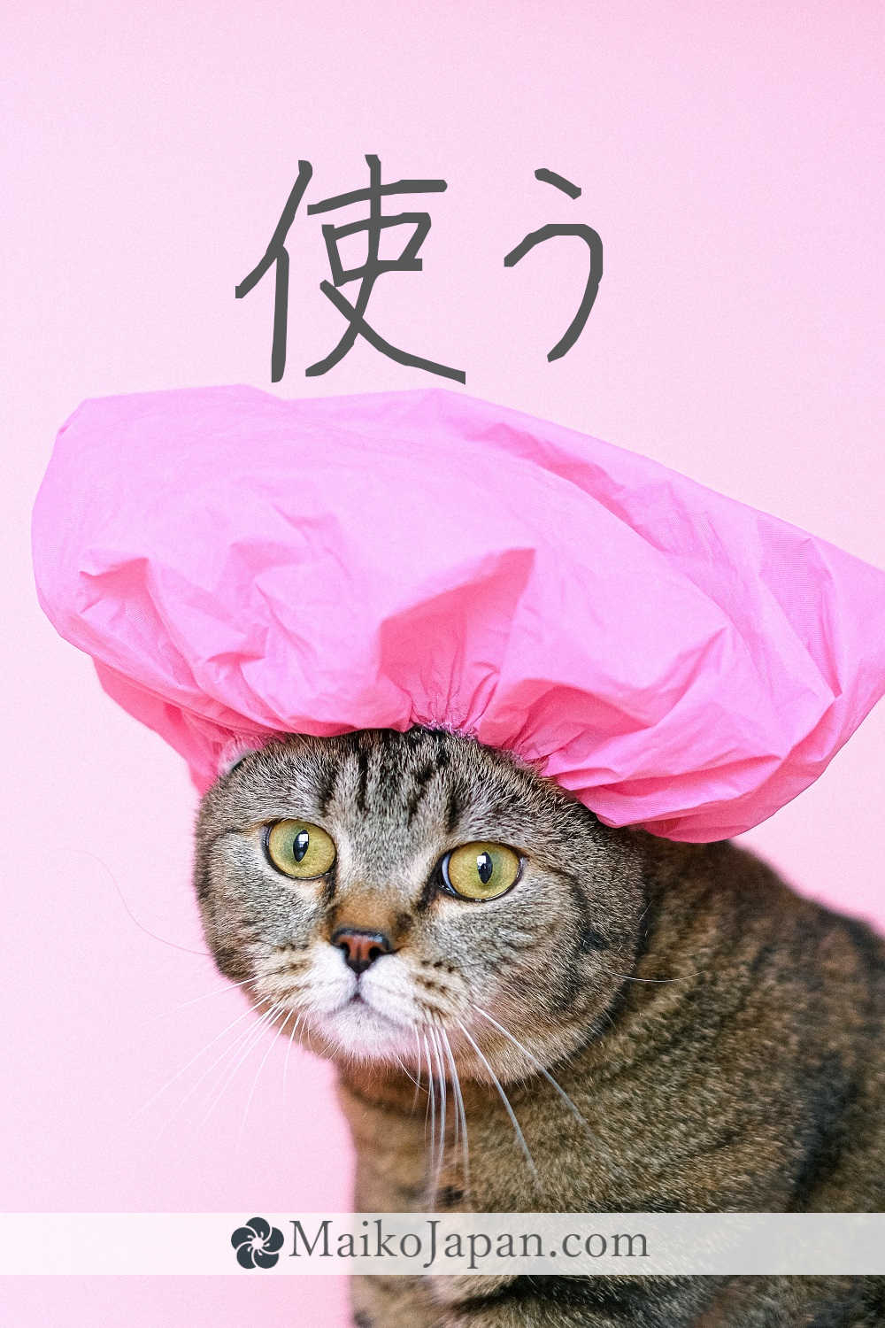 [使] Handwritten Kanji for to use and its Readings, Radical and Usage ...