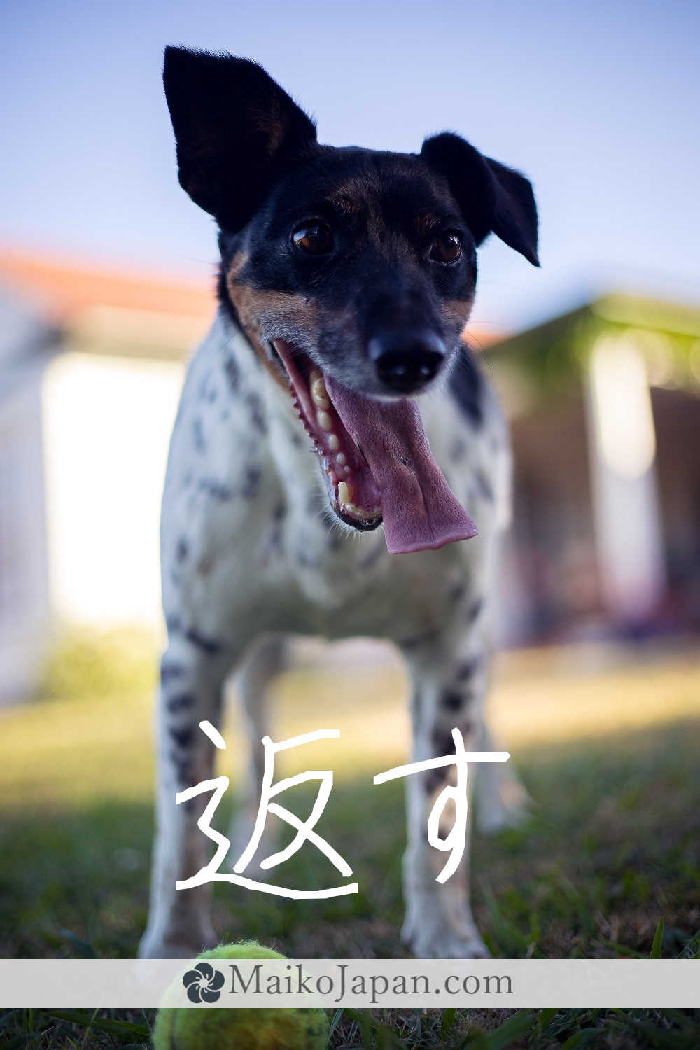 [返] Handwritten Kanji for to return and its Readings, Radical and Usage ...