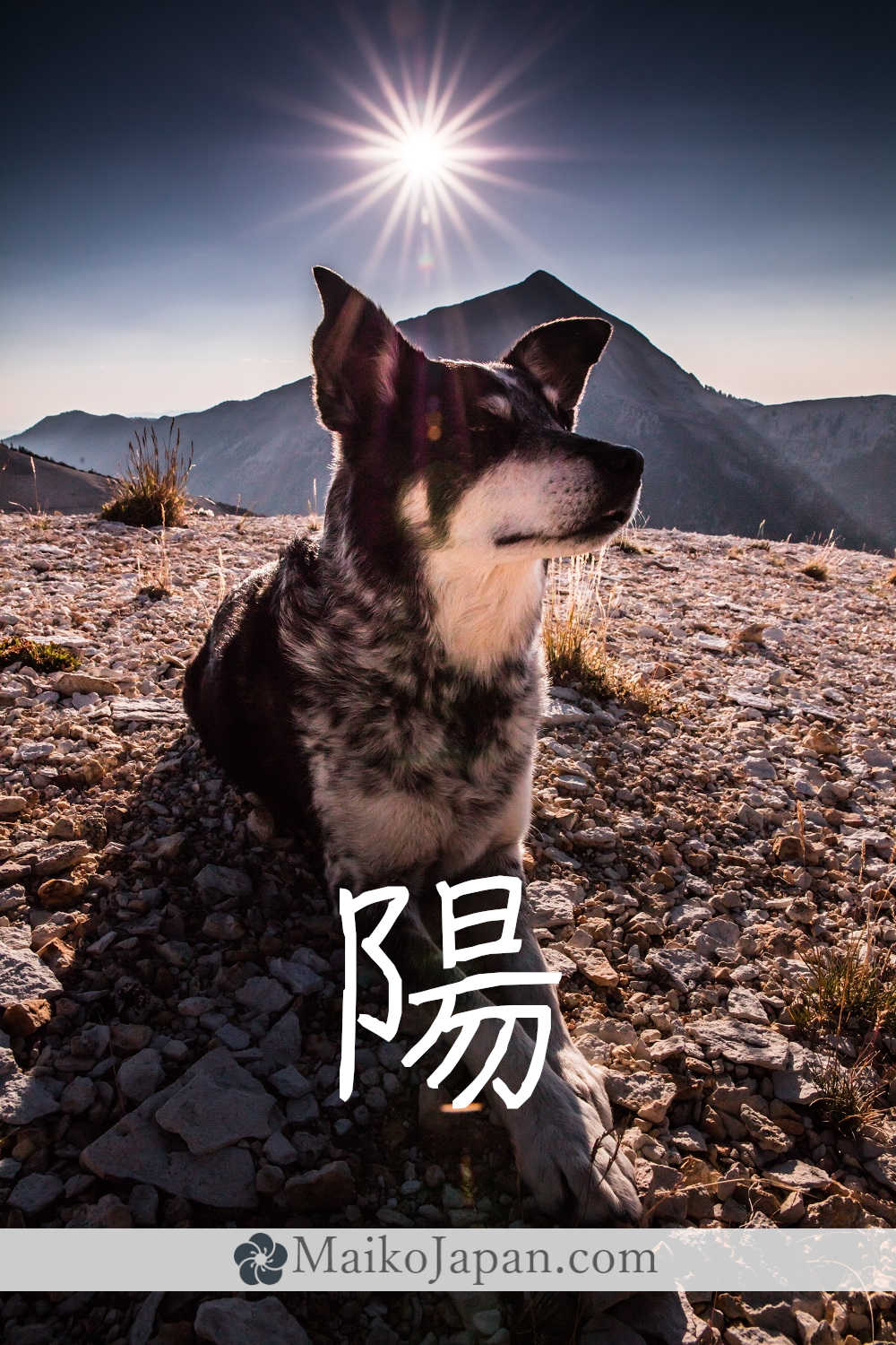 [陽] Handwritten Kanji for sun and its Readings, Radical and Usage ...