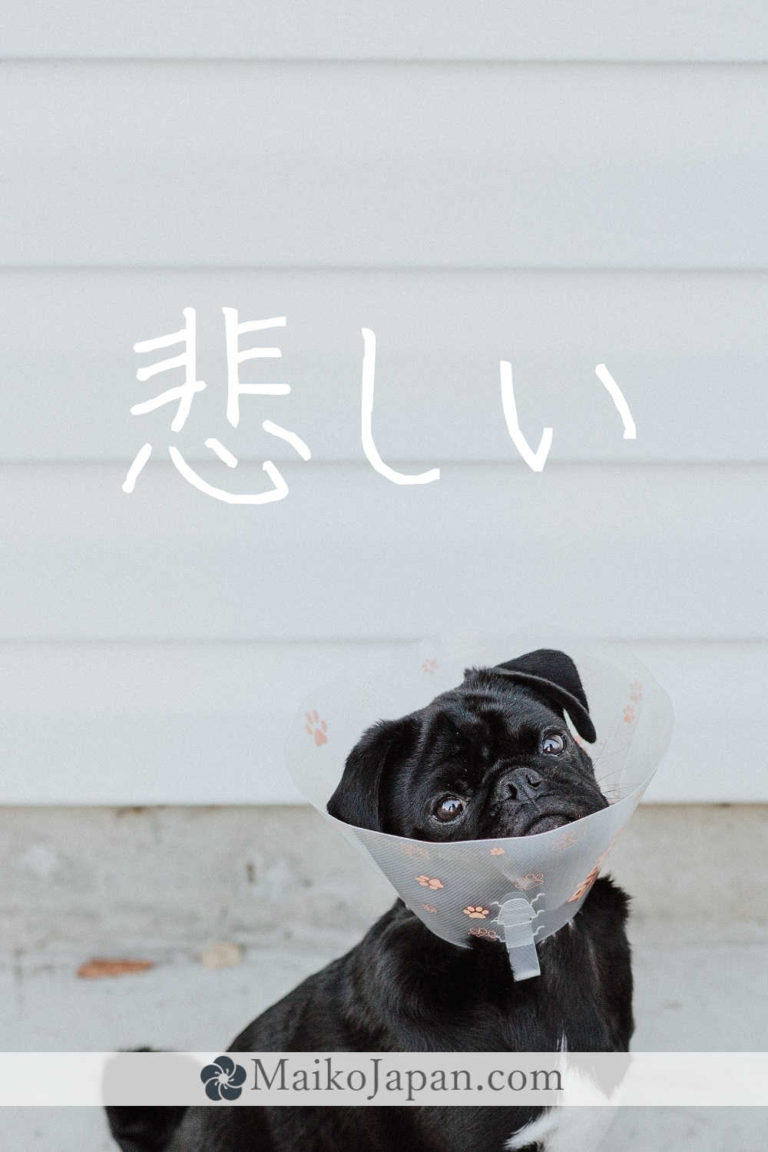 [悲] Handwritten Kanji for sad and its Readings, Radical and Usage ...