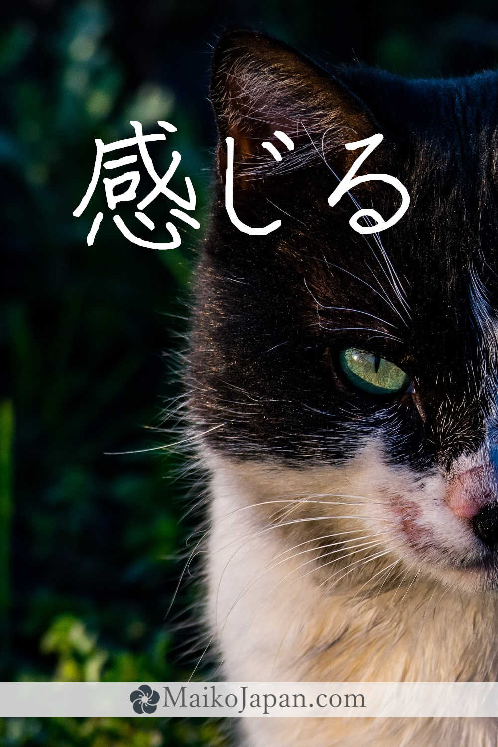 [感] Handwritten Kanji for feeling and its Readings, Radical and Usage ...
