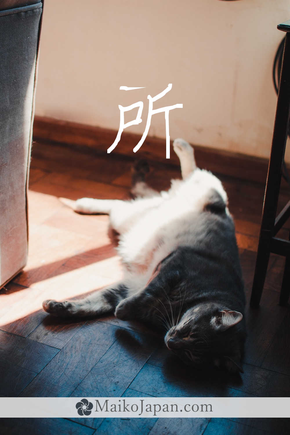 [所] Handwritten Kanji for place and its Readings, Radical and Usage ...