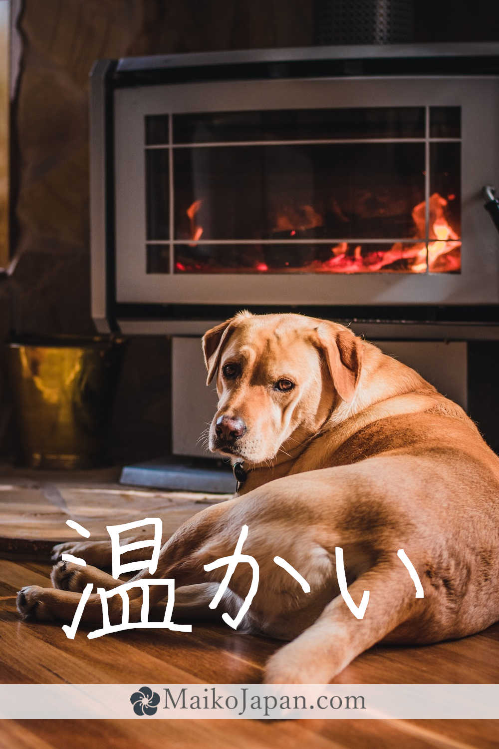 [温] Handwritten Kanji for warm and its Readings, Radical and Usage ...