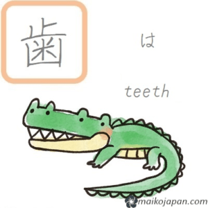 [歯] Handwritten Kanji for tooth and its Readings, Radical and Usage ...